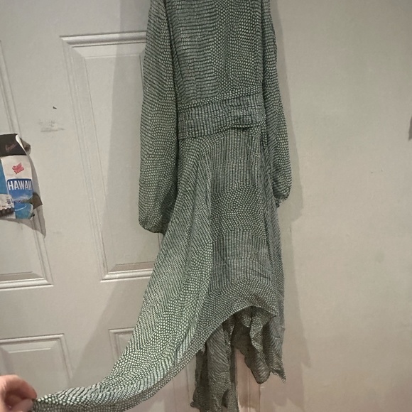 BCBG Maxazria Silk Dress - Picture 4 of 6